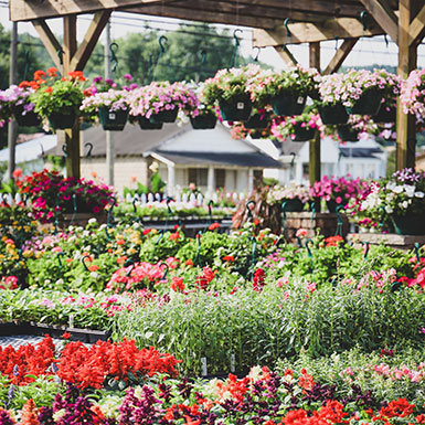 An outside garden nursery shop