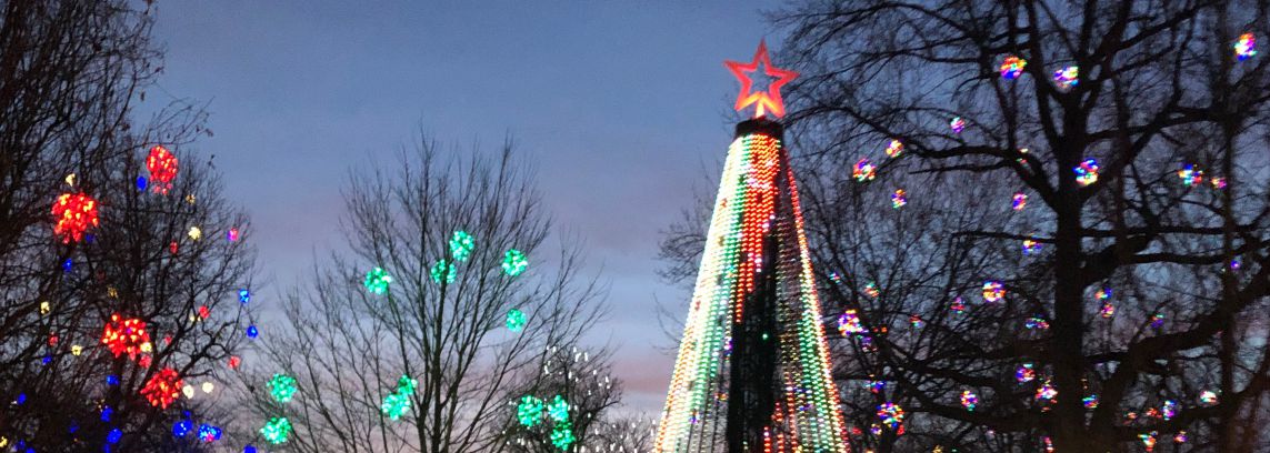 OVB tree at gallipolis in lights