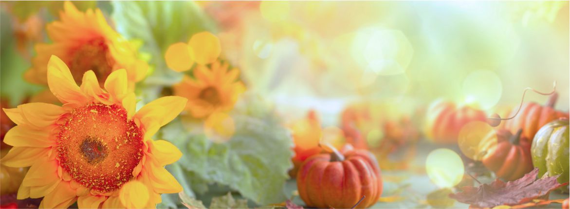 autumn background