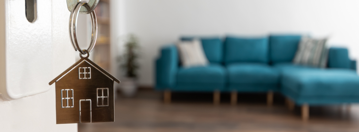 new home living room