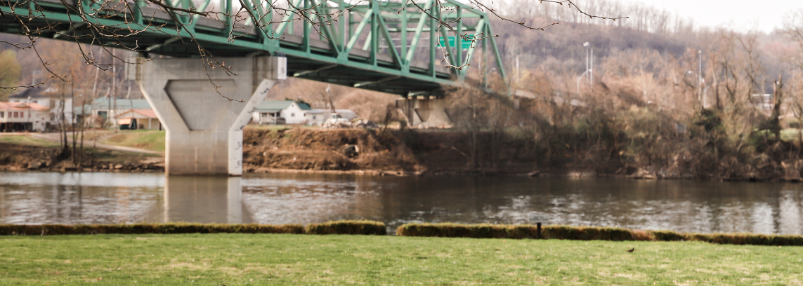 view of a bridge from a riverbank